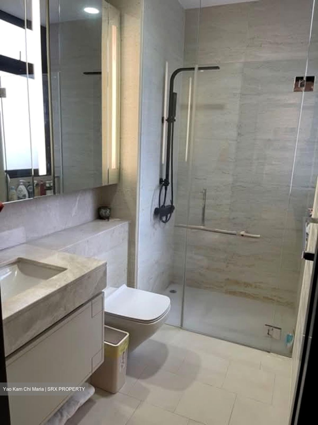 The Asana (D10), Apartment #566823621